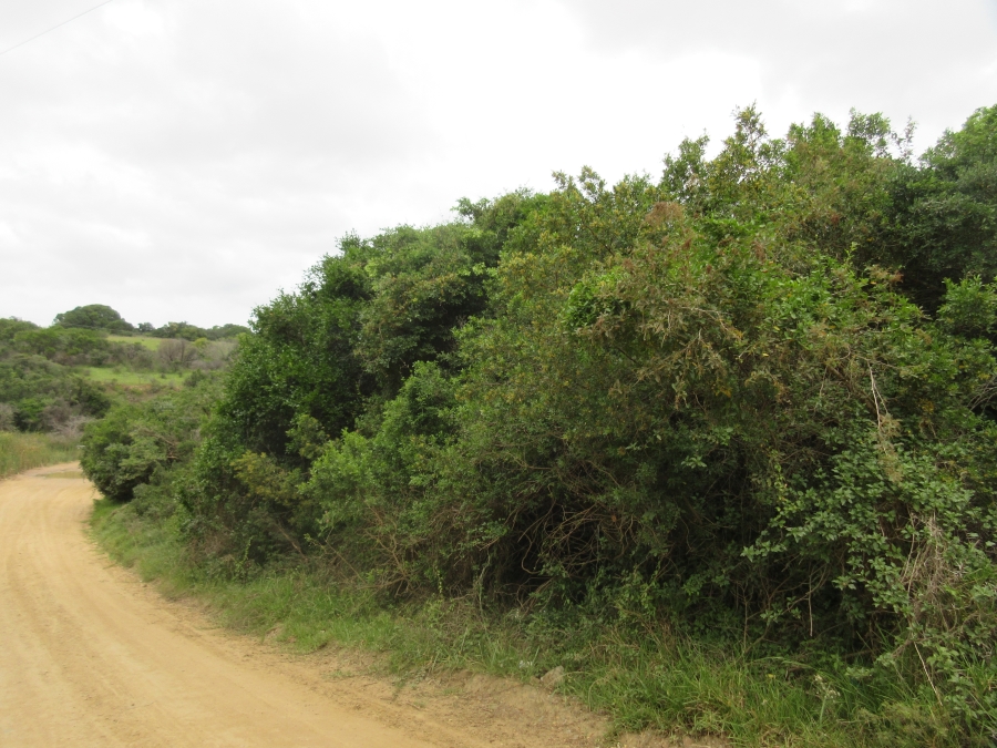 0 Bedroom Property for Sale in Bathurst Eastern Cape